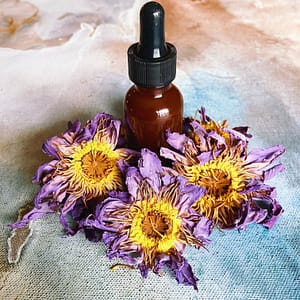 Acufunkture Blue Lotus Tincture