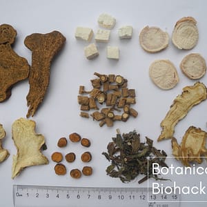 Acufunkture - Botanical Biohacking - Xiao Yao San Tea - Herbs